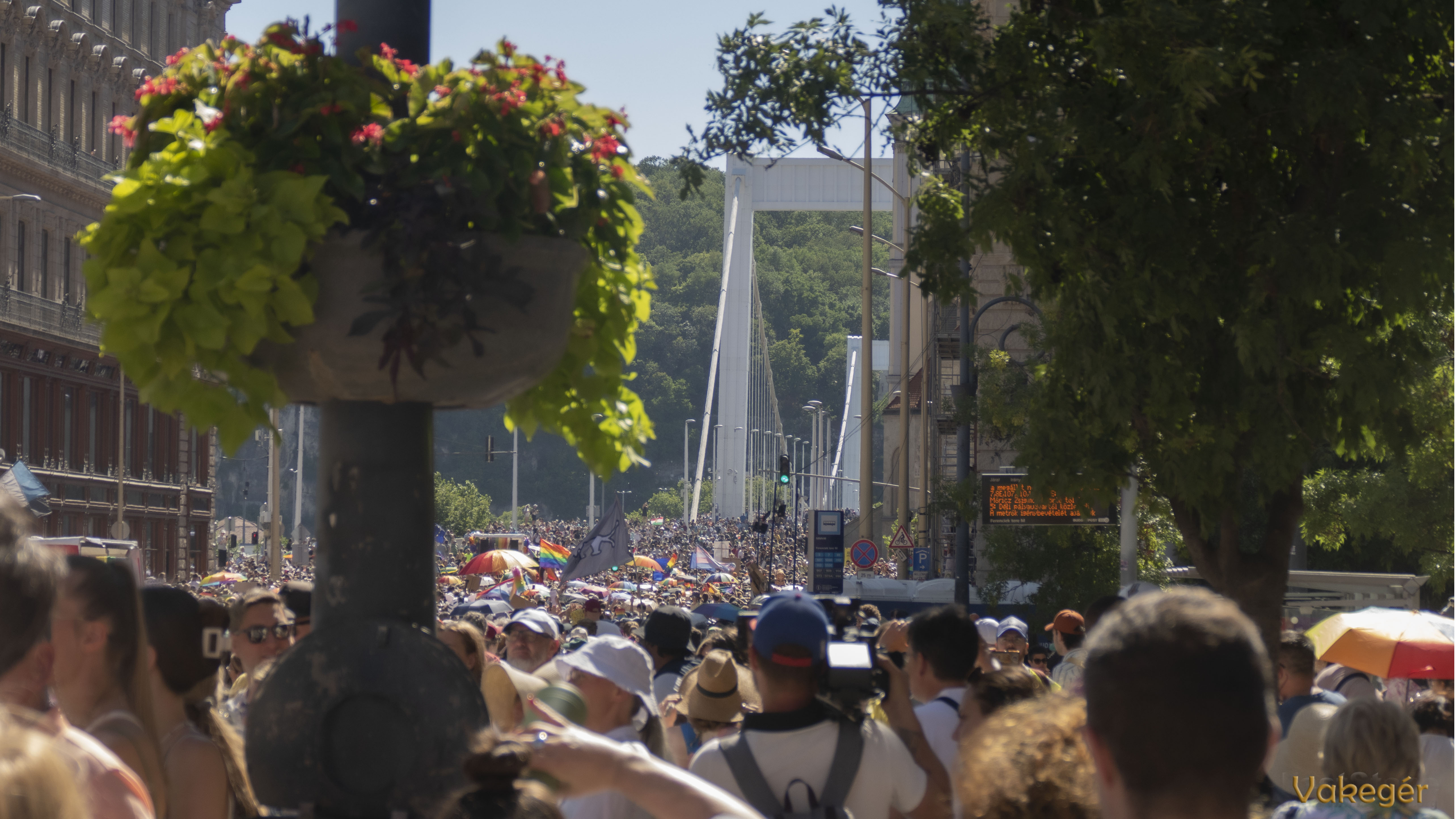 pride_budapest_seta_az_erzsebet_hid_fele.jpg