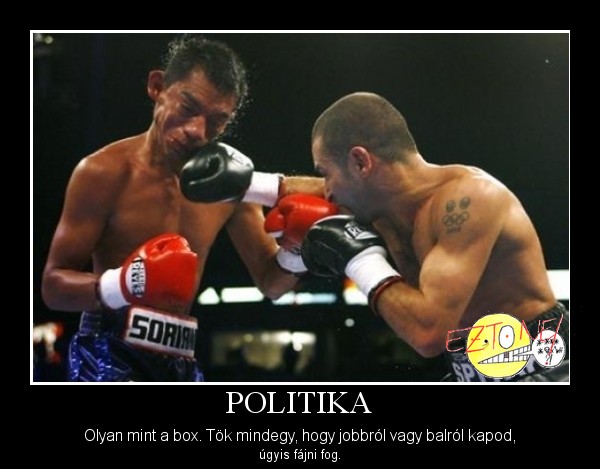 A politika olyan, mint a box....jpg