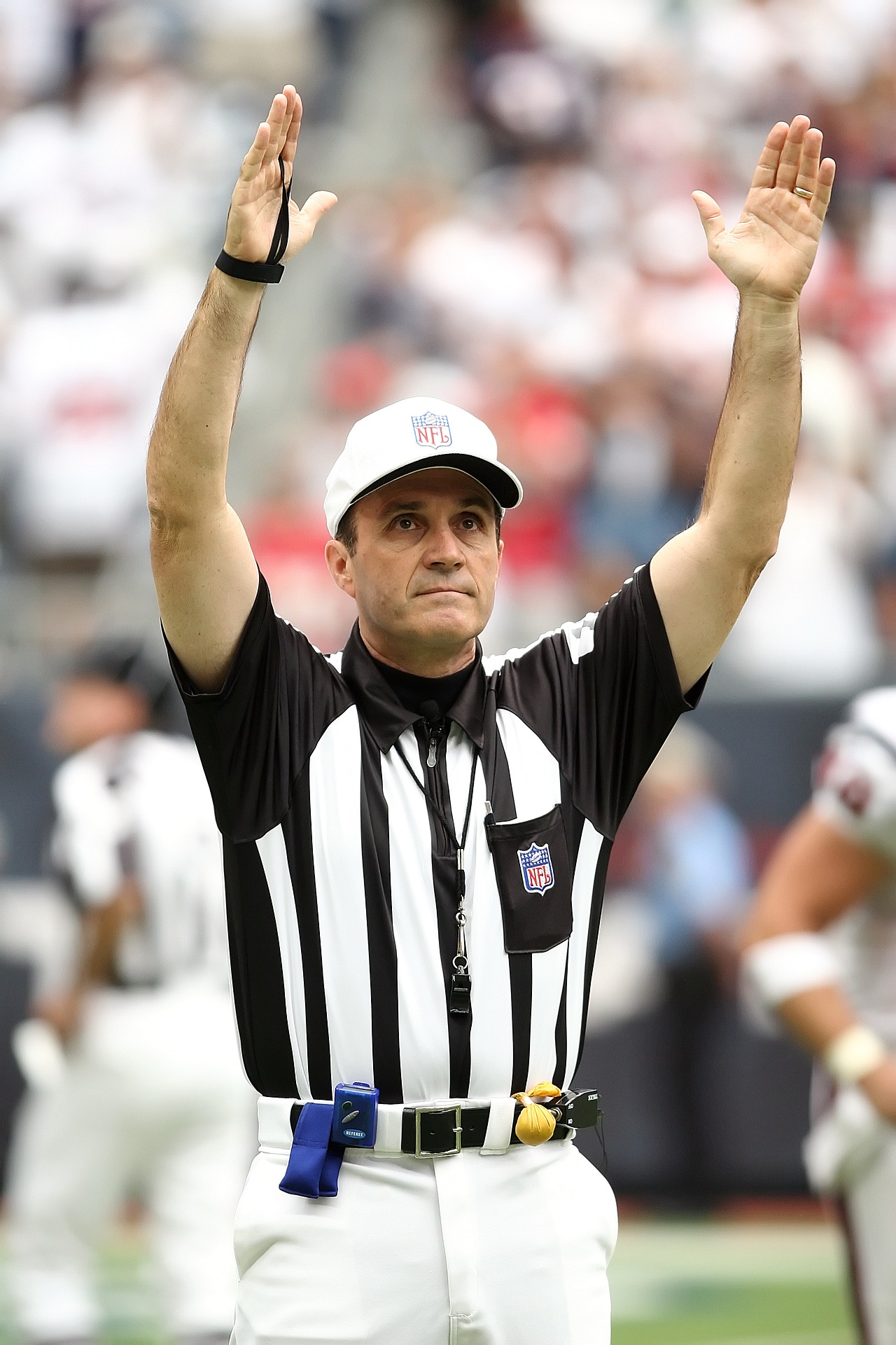 referee-1544532_1920.jpg