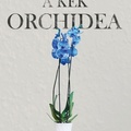 Varga Gy. Brian: A kék orchidea