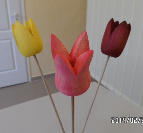 tulipán04-km.JPG