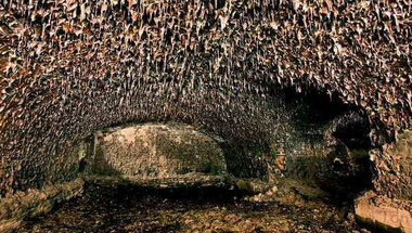 A sárkány barlangjai: a szentpétervári mesterséges erődszigetek titkai