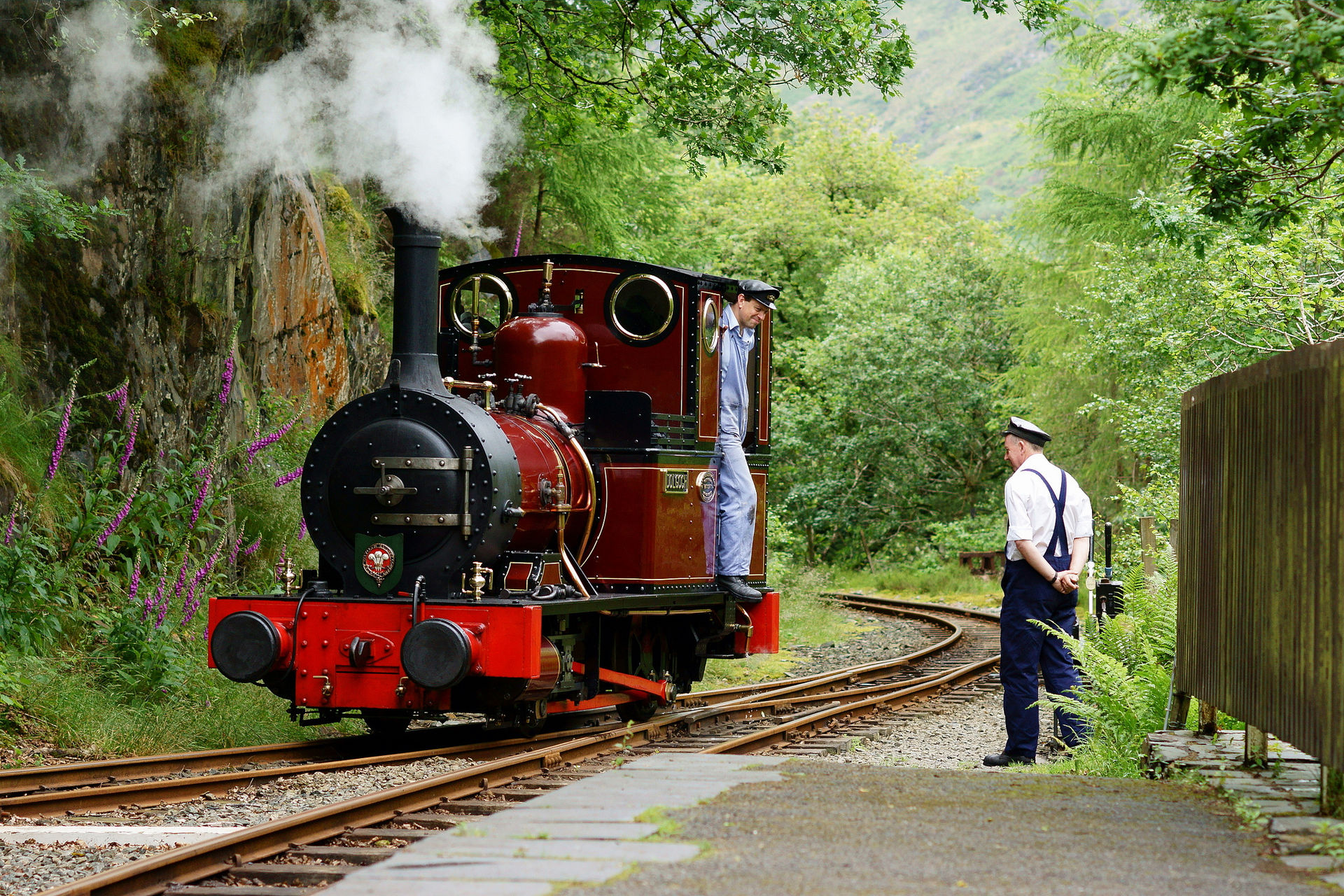 no_2_dolgoch.jpg