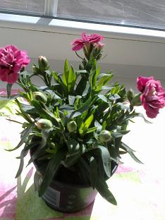 2013-04-10-843.JPG