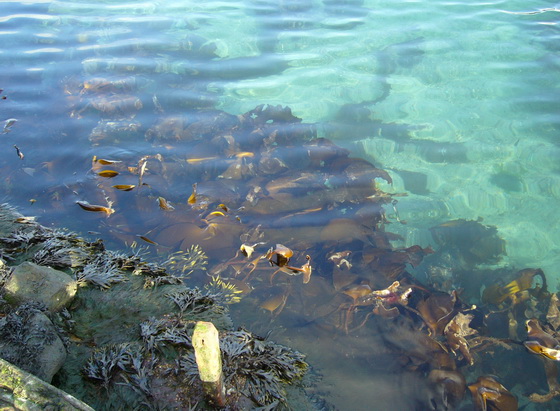 20130303_Torshavn_1_30.JPG