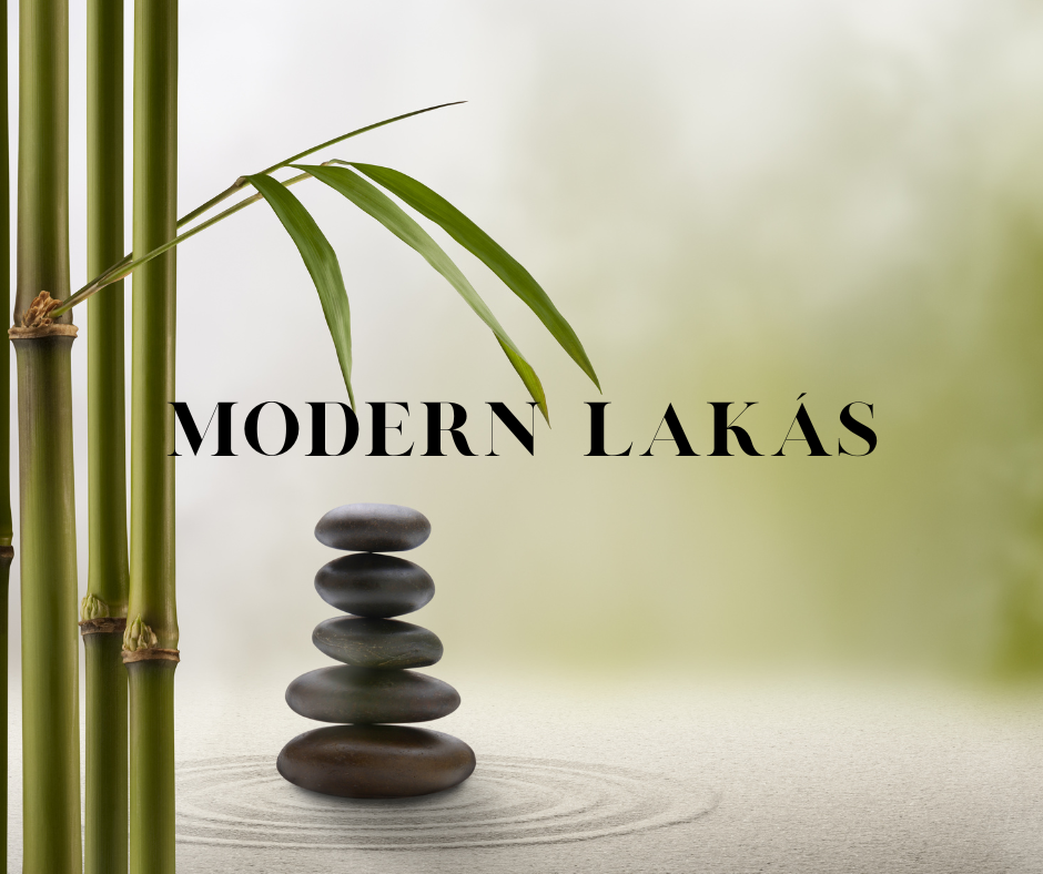 modern_laka_s.png