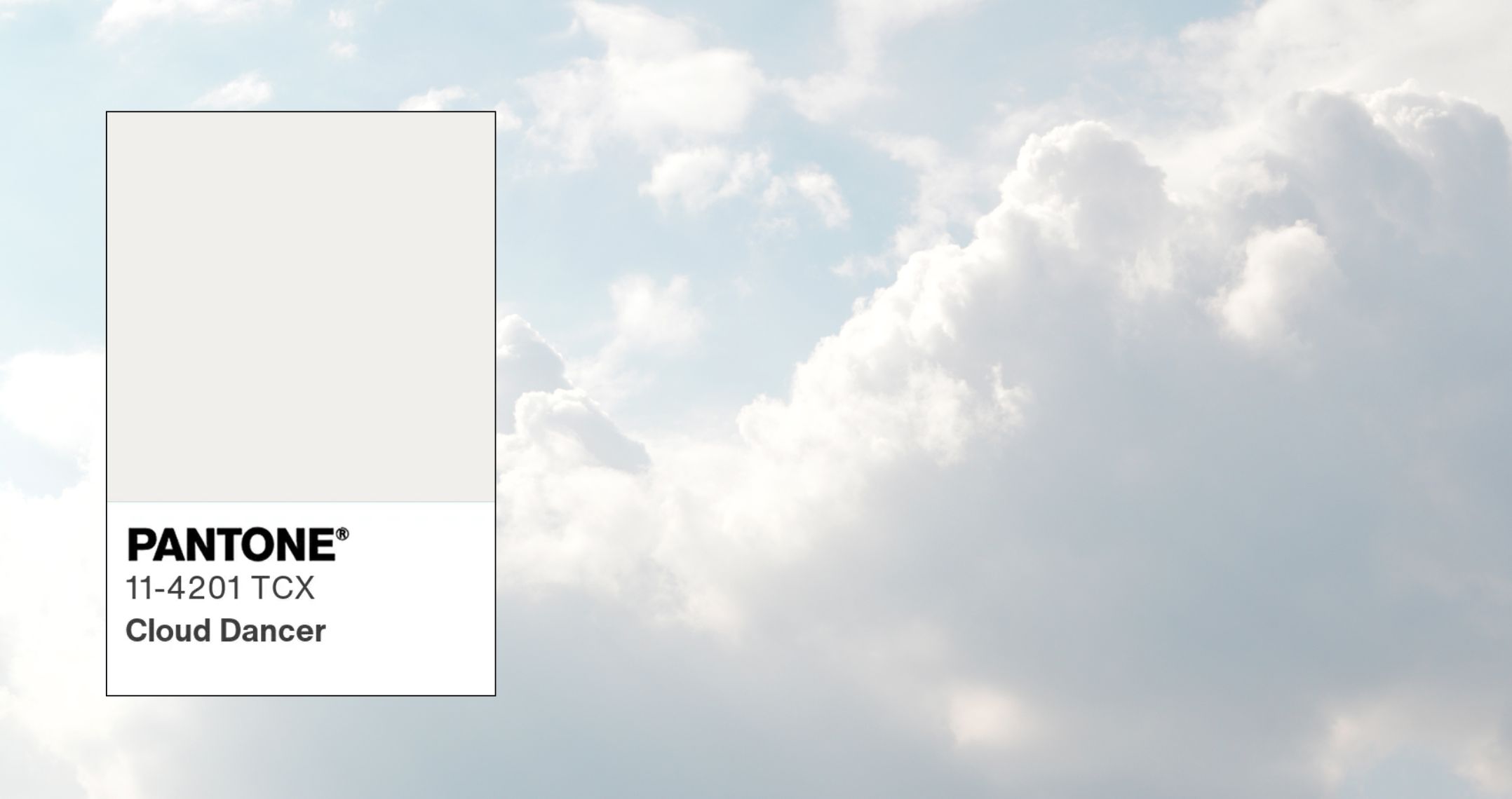 pantone-farbe-2026-cloud-dancer-titelbanner.jpg