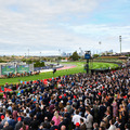 105. Cox Plate