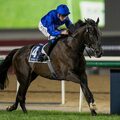 Dubawi világjáró örököse