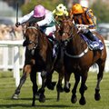 A Lockinge végeredménye újabb csapást mér Kieran Shoemarkra