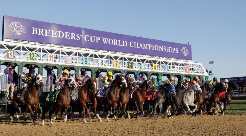 38. Breeders' Cup