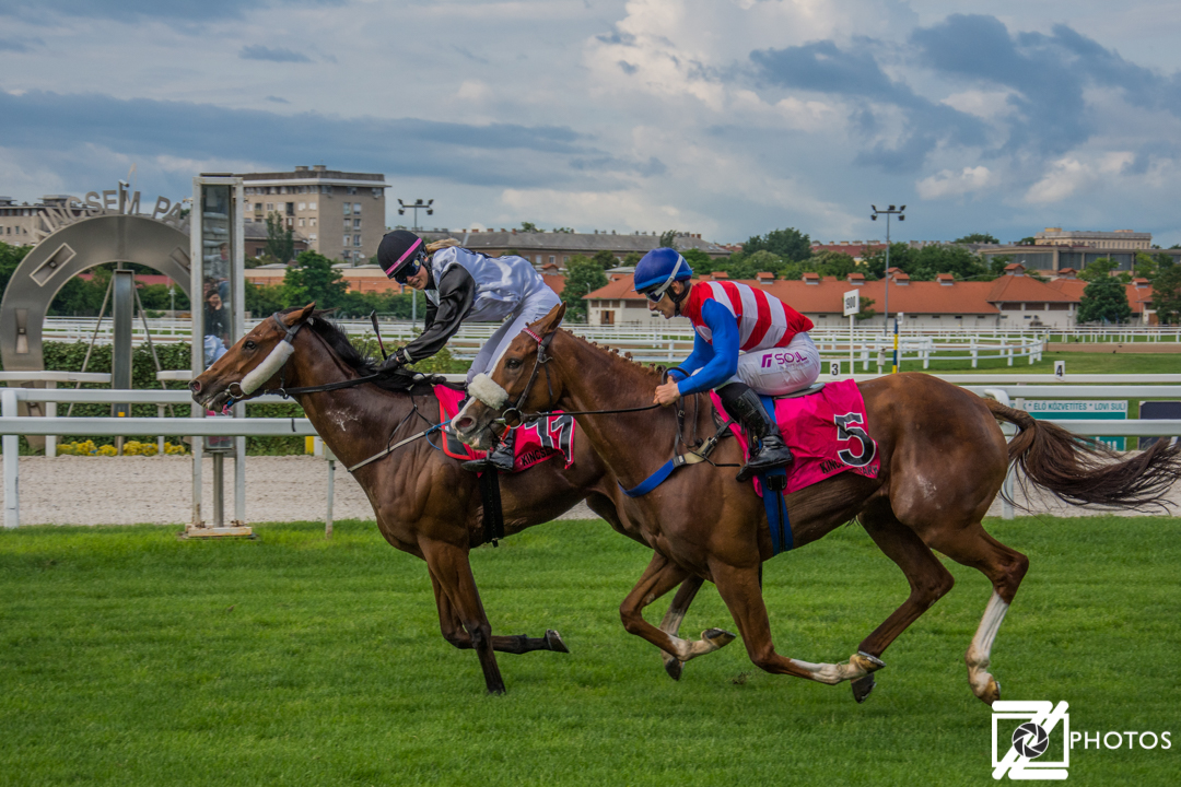 Egy évtized a magyar nagydíjakban - harmadik rész