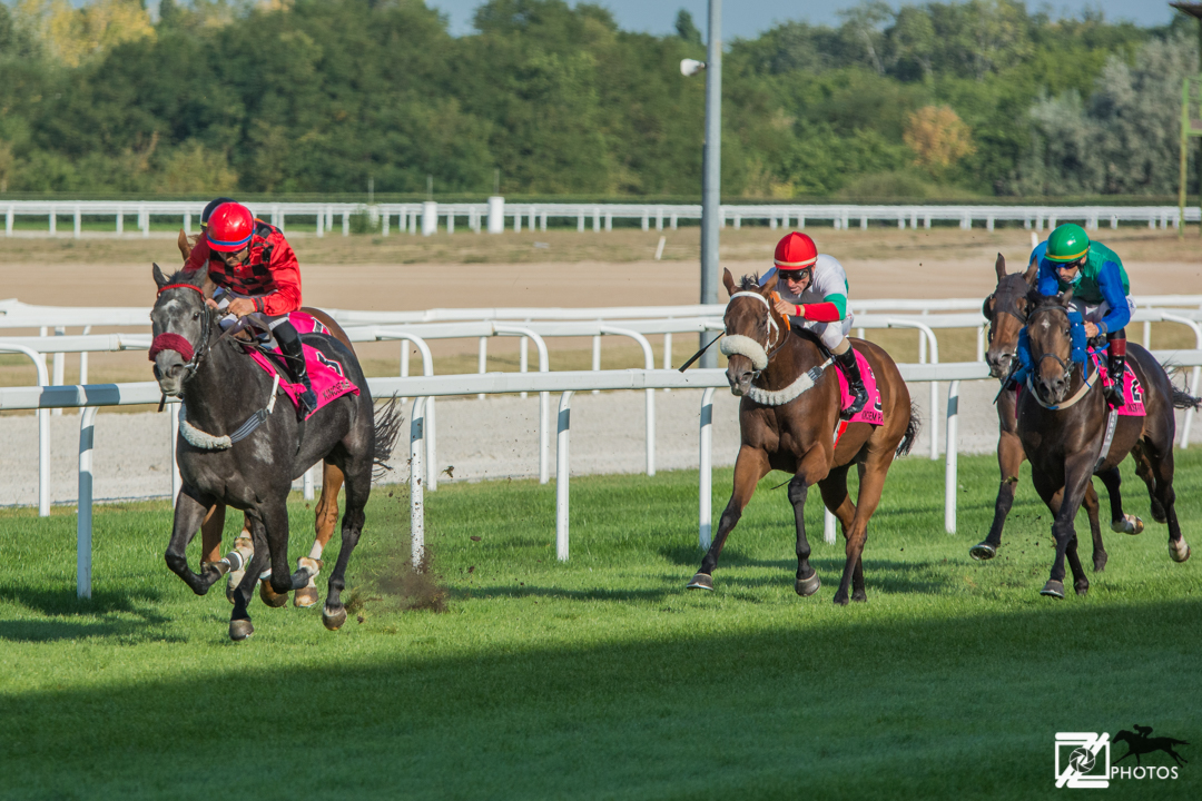 Egy évtized a magyar nagydíjakban – hatodik rész