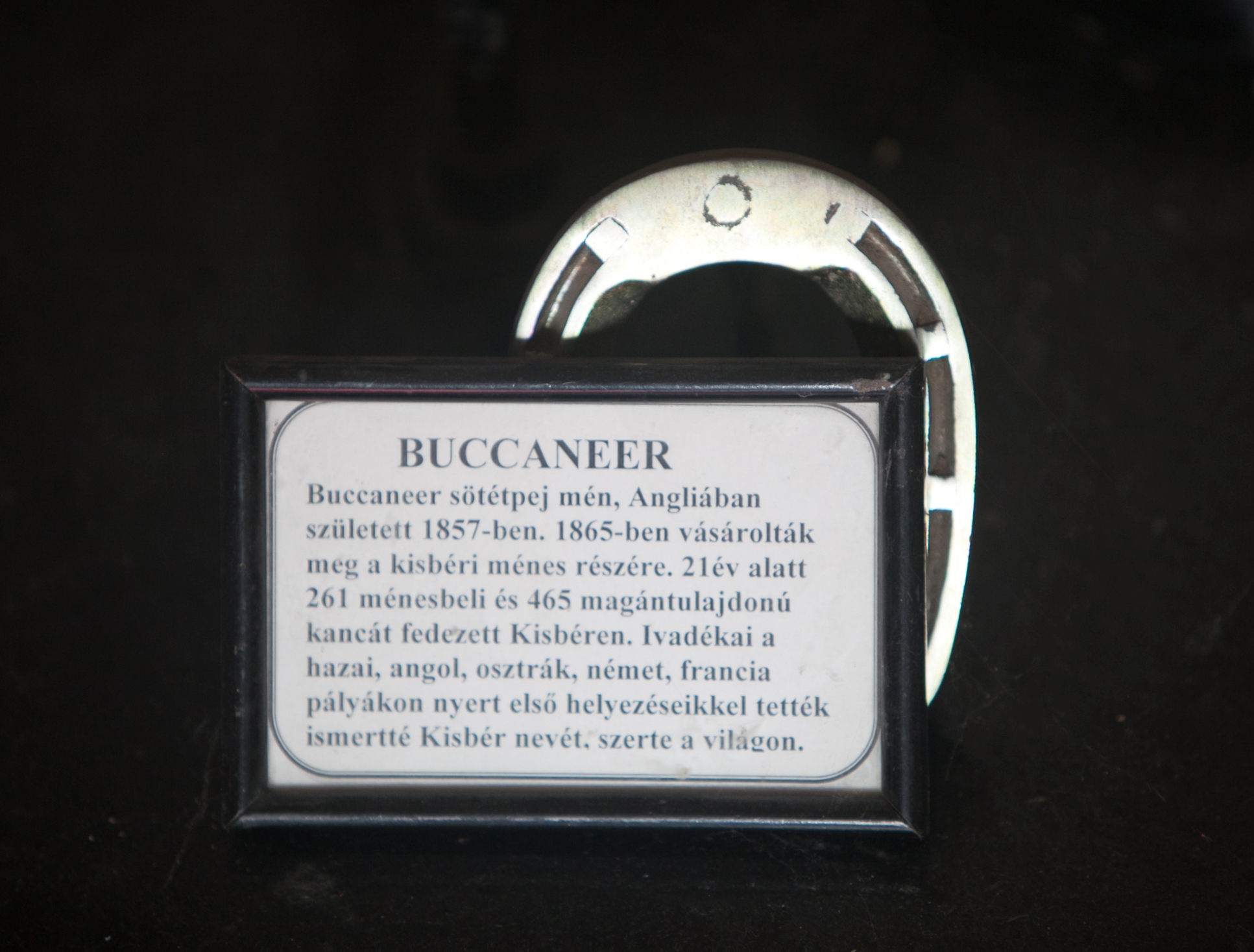 Buccaneer - harmadik rész