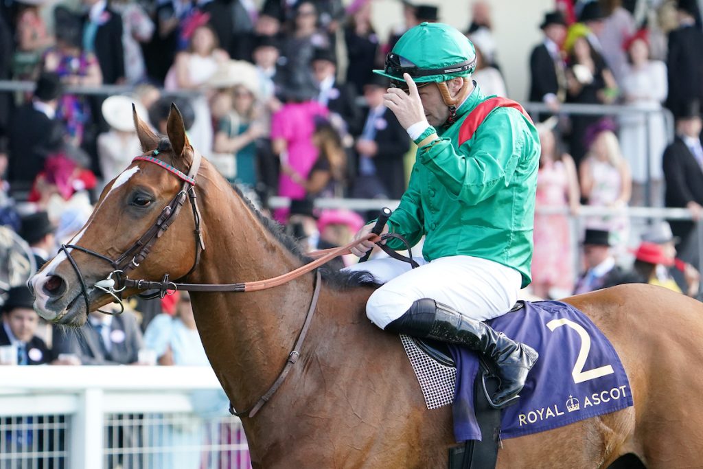 Az Év Lova Japánban folytatja