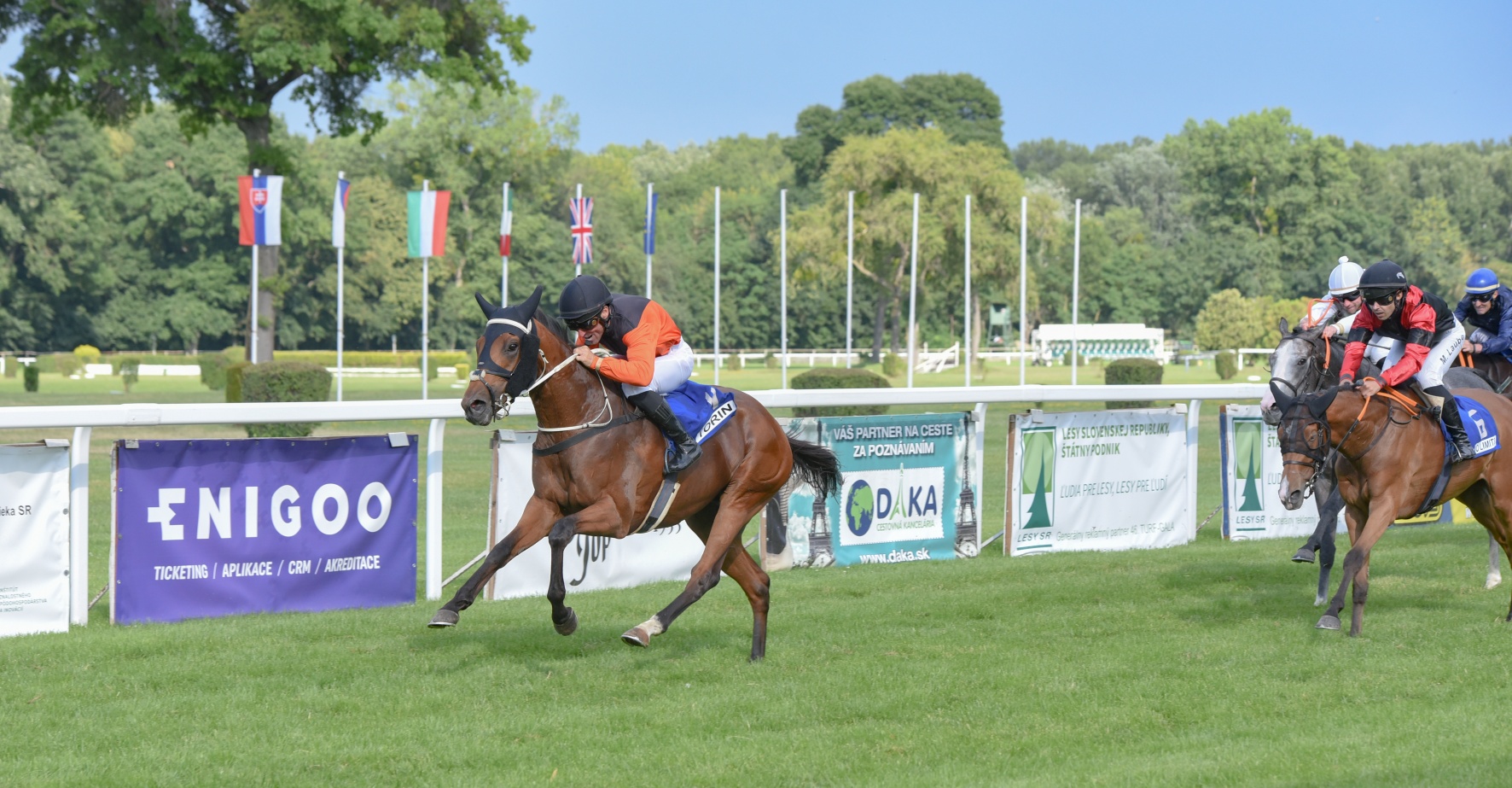 Championok a szomszédban