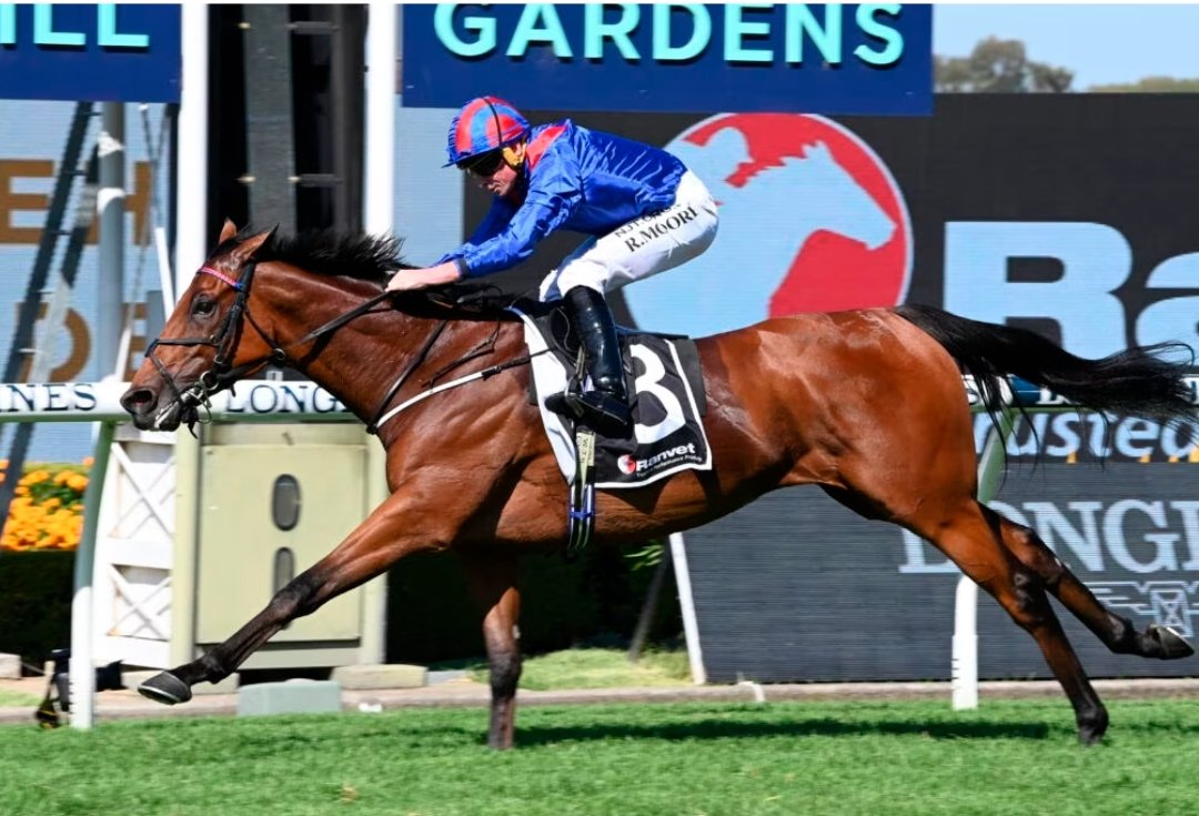 Az ausztrál lóversenyzés ezernyi csodája
