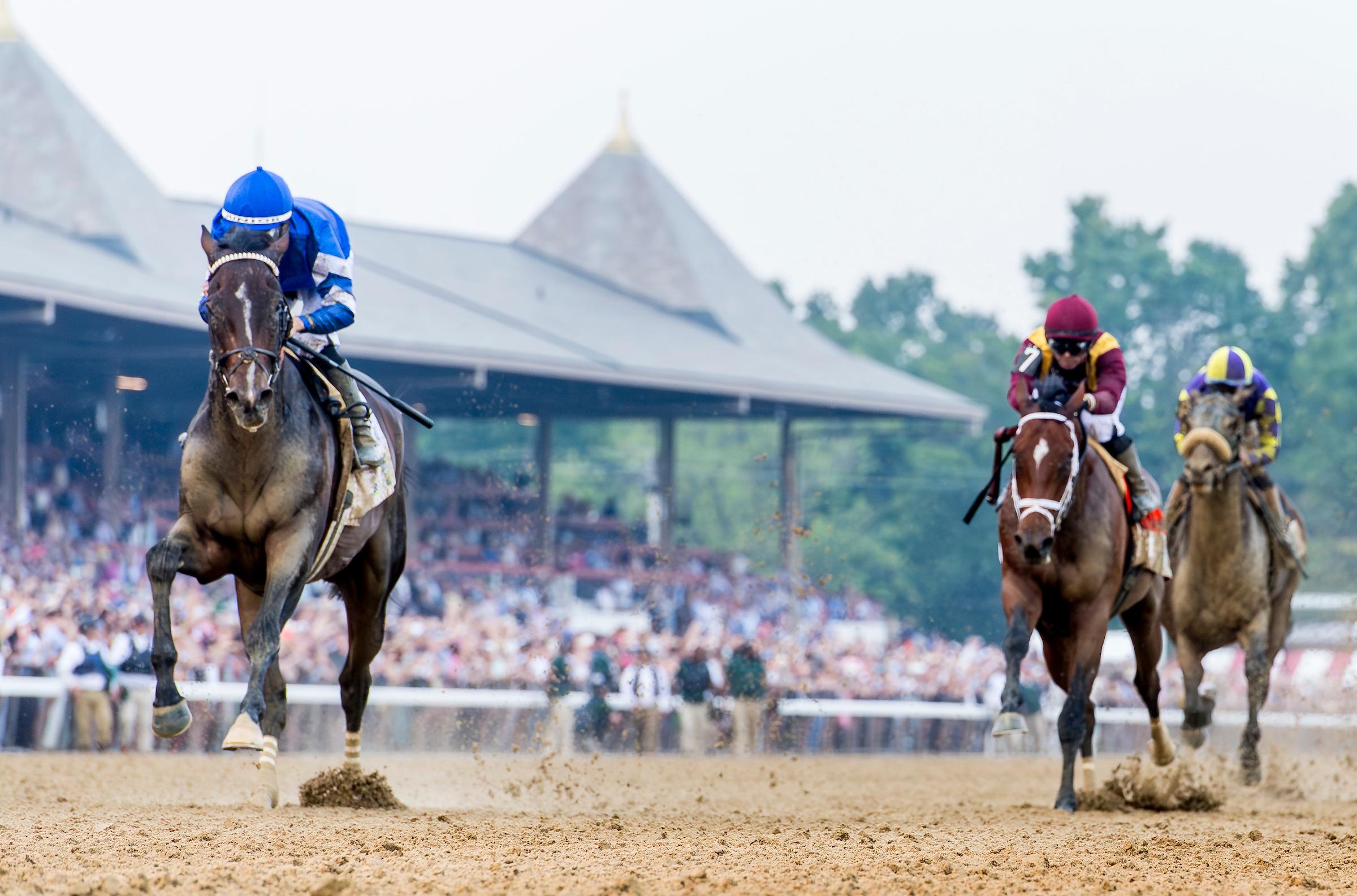head_on_belmont_finish_sovereignty_eclipse.jpg