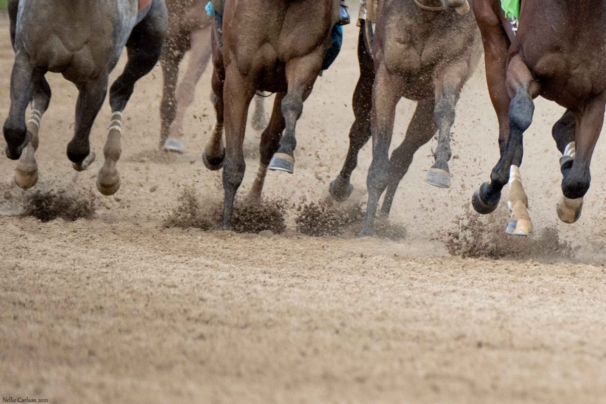 horse-racing-legs-running.jpg
