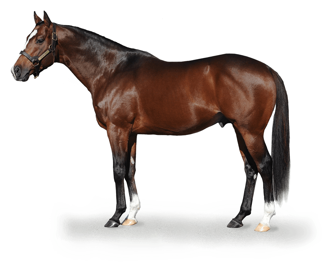 A legnagyobb király