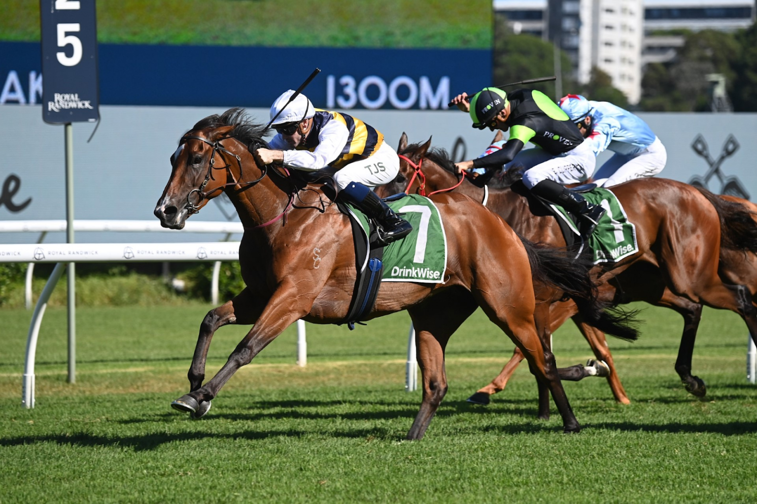 lady-laguna-canterbury-stakes-1536x1024.png