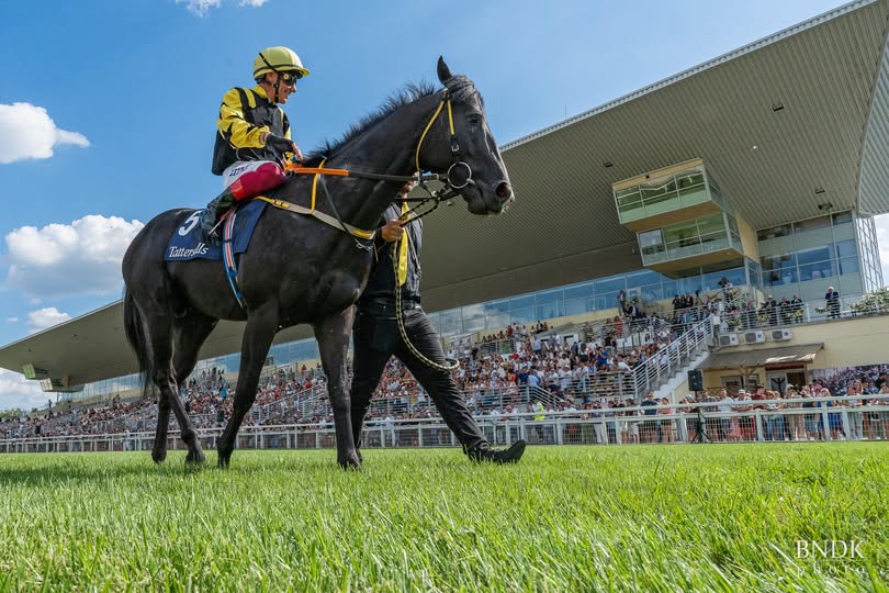 Tattersalls Ireland–Overdose Díj