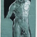 Dürer pénisze
