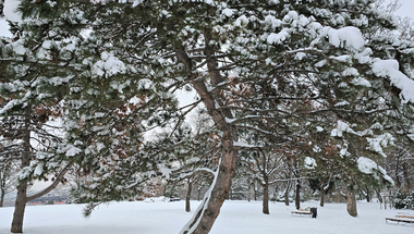 Hangszerek potyognak az égből