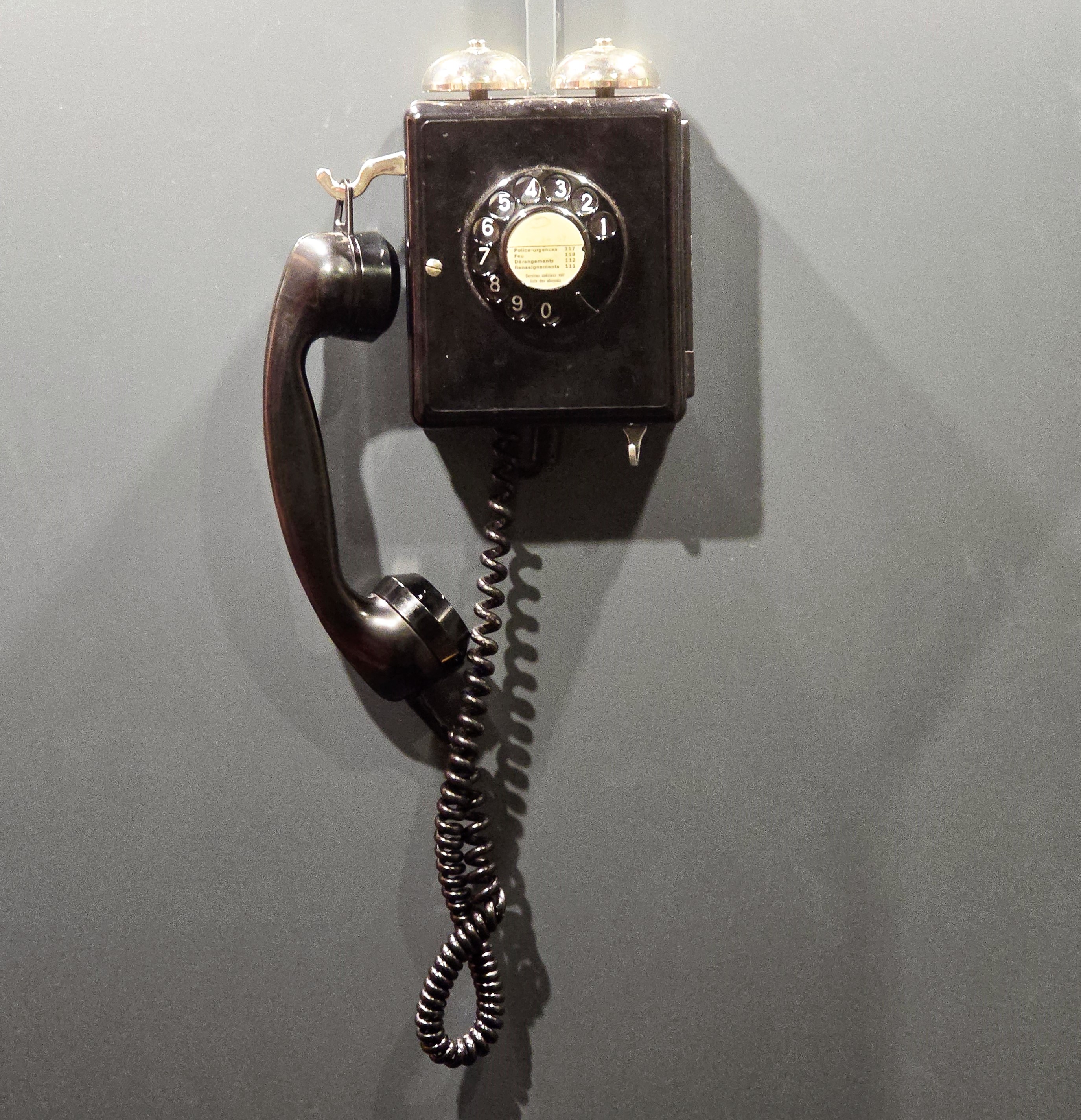 20250515_155115.jpg