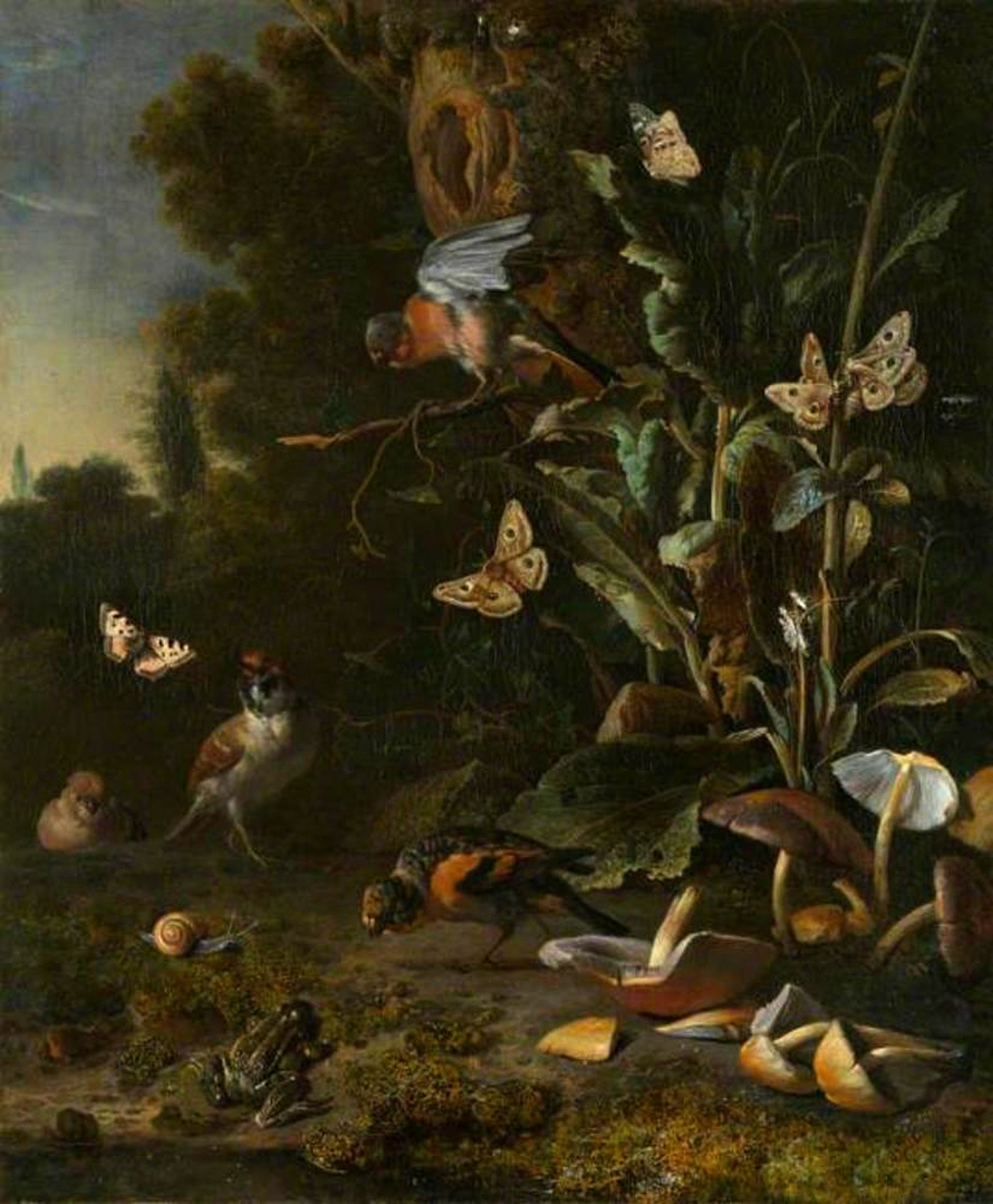 thumbnail_birds_butterflies_and_a_frog_among_plants_and_fungi_1668_oil_on_canvas_68_3_x_56_8_cm_national_gallery.jpg