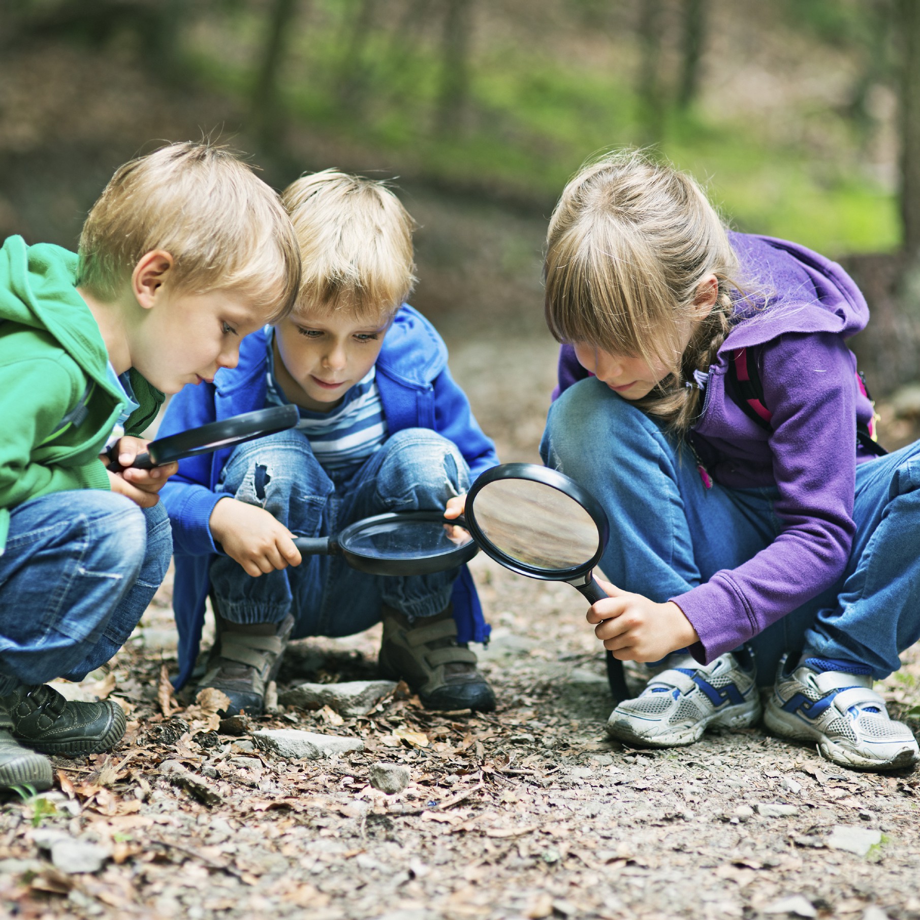 istock_detectives-1811x1811-1btxn50.jpg