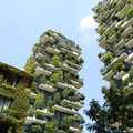 Vertikális erdőt húznak fel Újpest központjában - új, zöld lakópark épül