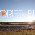 Stories of Bike