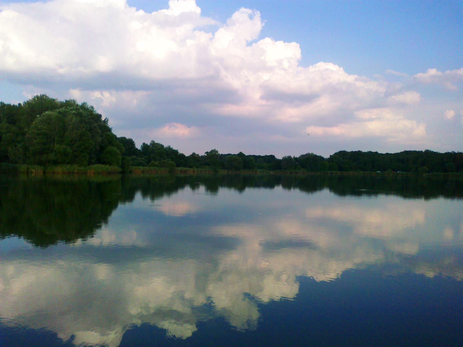 20120727198.jpg