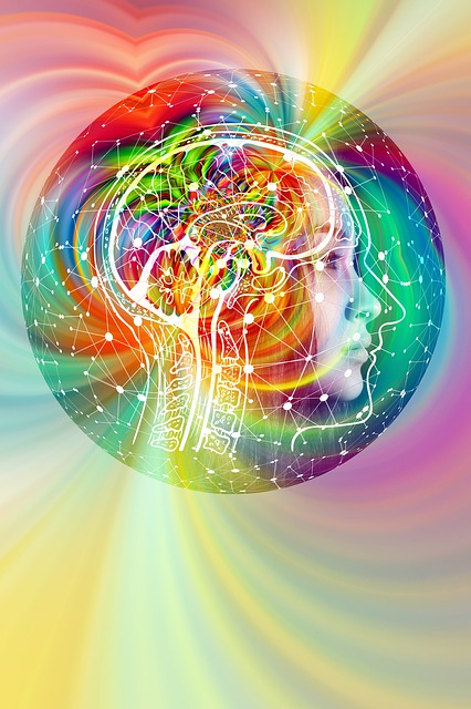 brain-4490836_640.jpg
