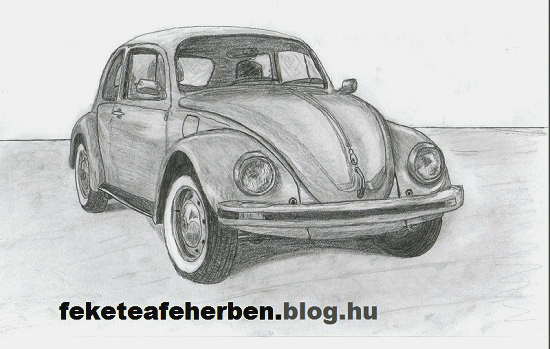 volkswagen_bogar_001_c_1.jpg