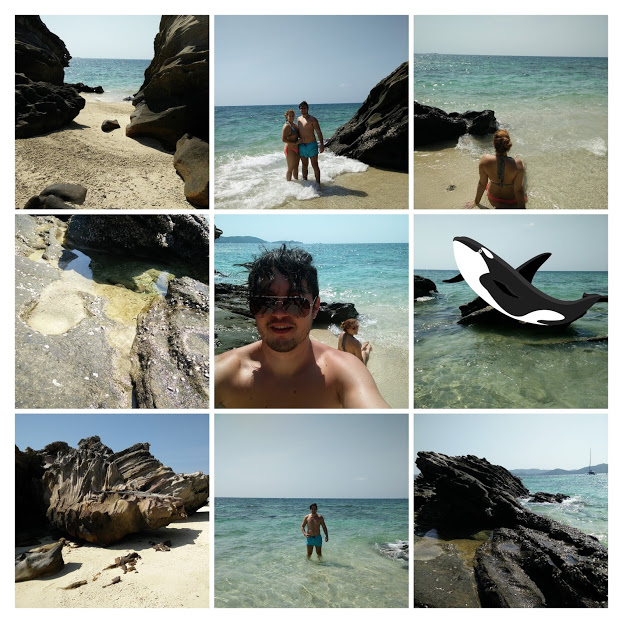 img_20160303_101959-collage.jpg