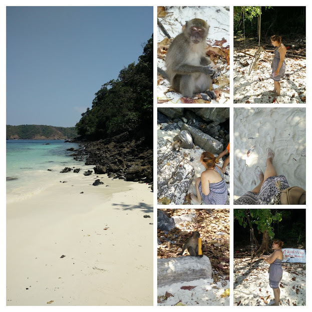 img_20160303_120541-collage.jpg