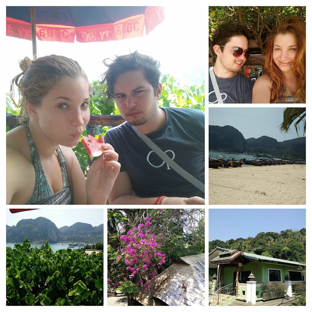 img_20160303_135556-collage.jpg
