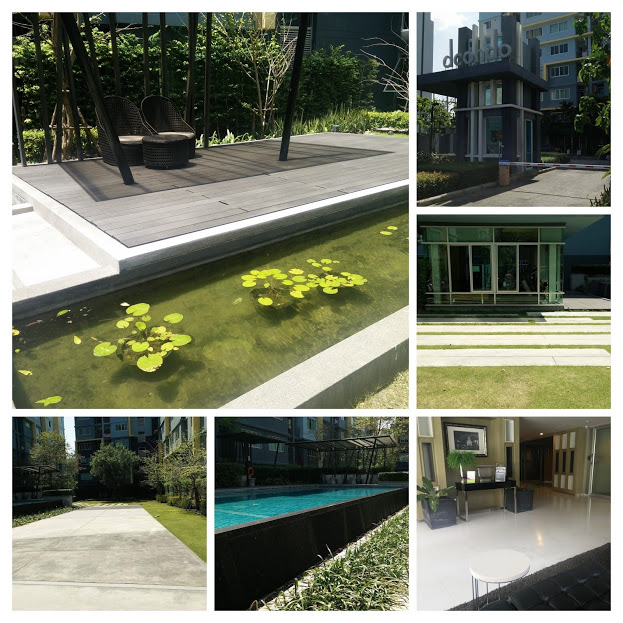 received_1073407959367019-collage.jpg