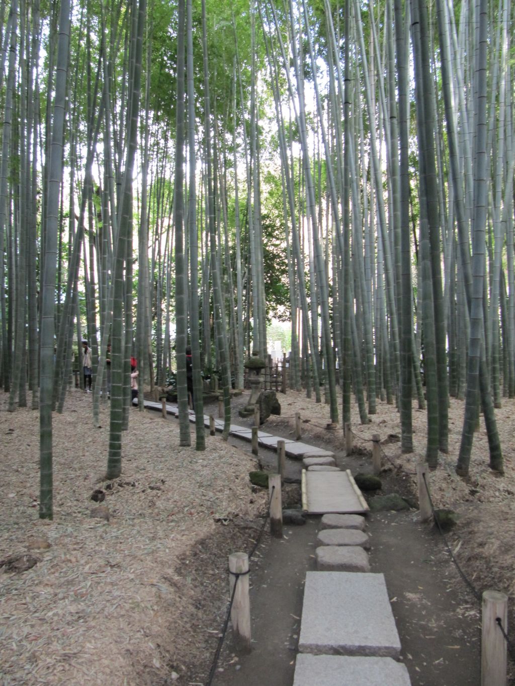 kamakura6.jpg