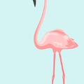Flamingó....