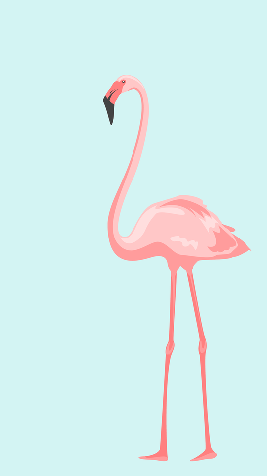 xsbphbzvnjkg00wulmrd7iteidgotkfr-hjskdzcxmg.png