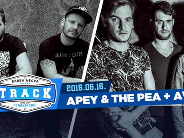 BARBA NEGRA TRACK - Apey and the Pea & AWS