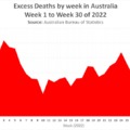 PfizerGate: Az ausztrál kormány megerősítette, hogy 2022 első 7 hónapjában 1356%-kal nőtt a halálozások száma