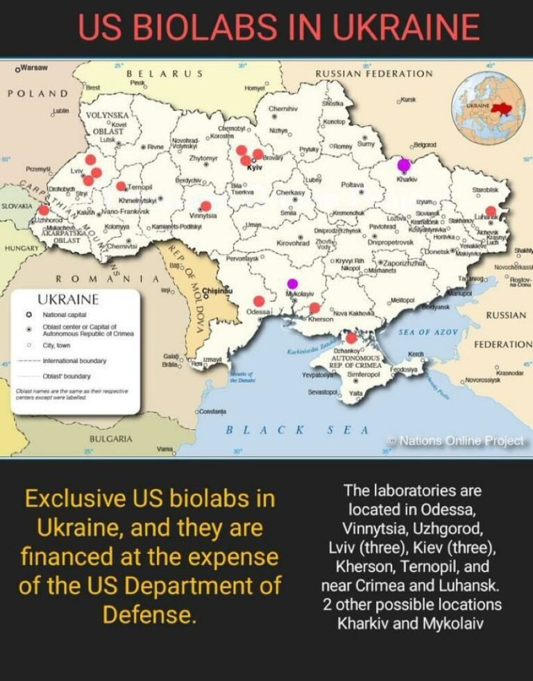 4_us-biolabs-in-ukraine-768x981.jpeg
