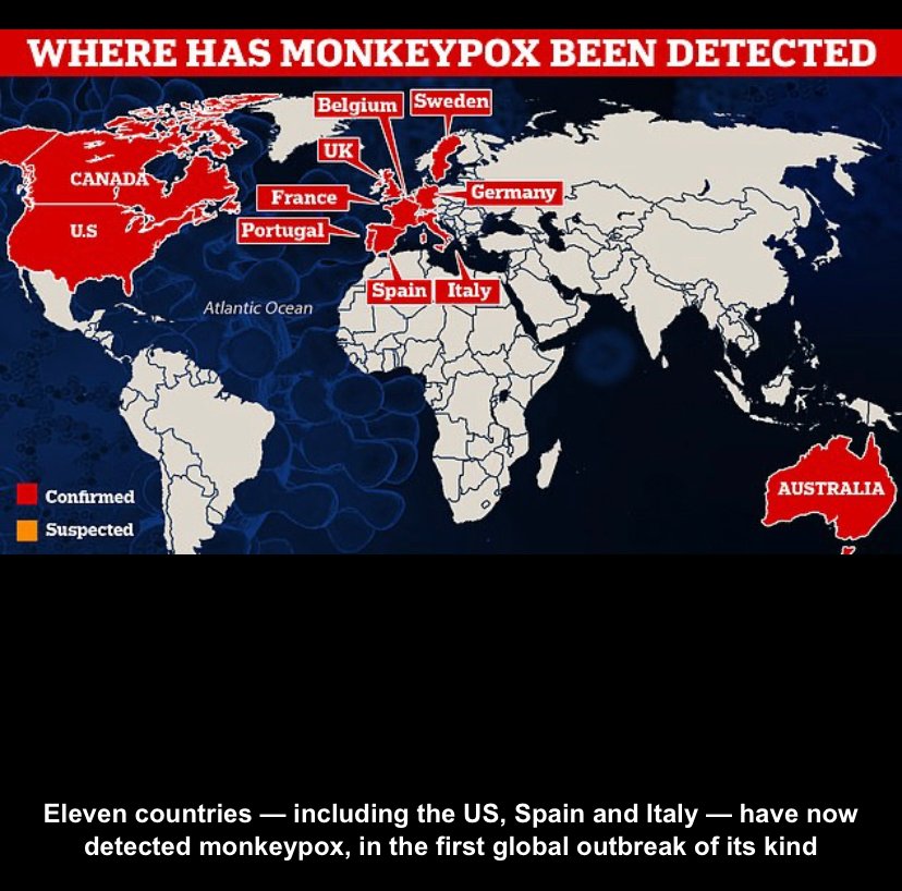 monkey-map.jpeg