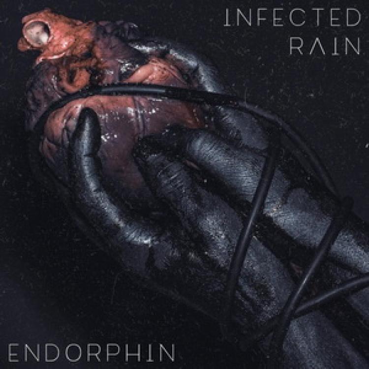 infectedrain-endorphin-cover2019.jpg