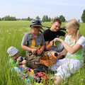 Az idei nyár legtrendibb szabadtéri tevékenysége: piknik!