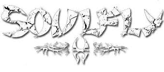 soulflylogo.jpg